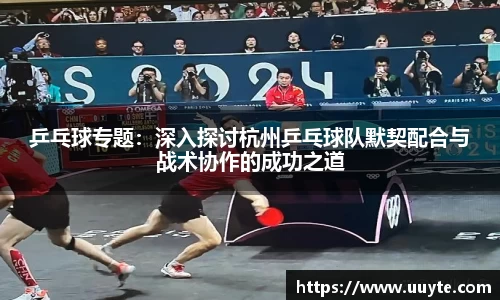 乒乓球专题：深入探讨杭州乒乓球队默契配合与战术协作的成功之道